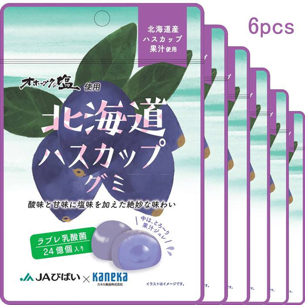 6袋セット販売 グミ 乳酸菌入り 北海道 ハスカップ グミ カネカ食品 オホーツクの塩使用 美味しい スッキリ 酸味 甘味 塩味 果汁ジュレ ラブレ乳酸菌 北海道産 ハスカップ オホーツク産 塩 JAびばい カネカ食品 共同開発 二重構造グミ