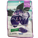 6袋セット販売 グミ 乳酸菌入り 北海道 ハスカップ グミ カネカ食品 オホーツクの塩使用 美味しい スッキリ 酸味 甘味 塩味 果汁ジュレ ラブレ乳酸菌 北海道産 ハスカップ オホーツク産 塩 JAびばい カネカ食品 共同開発 二重構造グミ