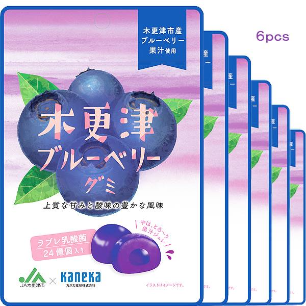 6袋セット販売 グミ 乳酸菌入り 木更津ブルーベリーグミ カネカ食品 JA木更津市 共同開発 美味しい おいしい スッキリ 上質な甘み 酸味豊か セット 果実 果汁ジュレ ラブレ乳酸菌 木更津市産 千葉 ご当地 お取り寄せ 取り寄せ ブルーベリー 子供 こども おやつ お菓子 おかし