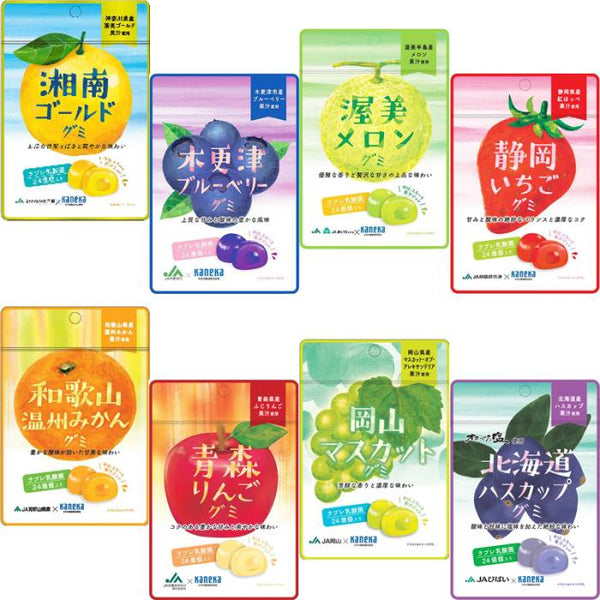 お試し 8種類各1袋 8袋セット販売 期間限定 カネカ食品 JA 共同開発 グミ 乳酸菌入り 湘南ゴールド 木更津ブルーベリー 渥美メロン 静岡いちご 和歌山温州みかん 青森りんご 岡山マスカット 北海道ハスカップ 果汁入り ラブレ乳酸菌入り 24億個 二重構造 新たな面白い食感