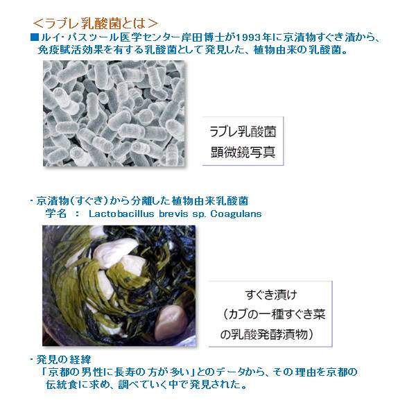 6袋セット販売 グミ 乳酸菌入り 青森ふじりんごグミ カネカ食品 美味しい スッキリ 甘味 酸味 の調和が絶妙 さわやかな味わい 果汁ジュレ ラブレ乳酸菌 青森県産 ふじりんご JA全農あおもり カネカ食品 共同開発 二重構造グミ