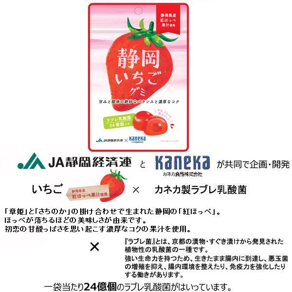 6袋セット 販売 グミ 乳酸菌入り 静岡いちごグミ カネカ食品 紅ほっぺ 美味しい スッキリ 甘味と酸味の絶妙なバランス 濃厚なコク さわやかな味わい 果汁ジュレ ラブレ乳酸菌 静岡県産 いちご イチゴ 苺 JA静岡経済連 カネカ食品 共同開発 コラボ 二重構造グミ