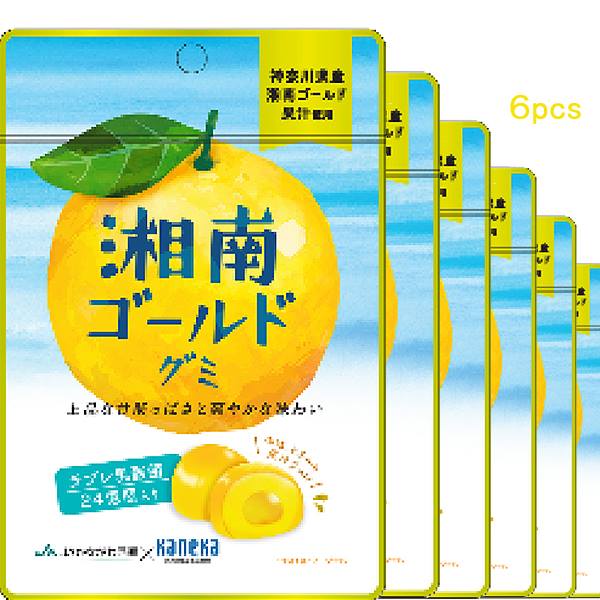 6袋セット販売 グミ ぐみ 乳酸菌入り 湘南ゴールドグミ カネカ食品 JA神奈川西湘 共同開発 栄養 美味しい おいしい スッキリ 果汁ジュレ ラブレ乳酸菌 神奈川県産 神奈川 湘南ゴールド ご当地 お取り寄せ 子供 こども おやつ お菓子 おかし 柑橘 美味しいお菓子