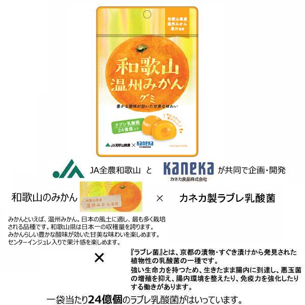 6袋セット販売 グミ 乳酸菌入り 和歌山温州みかんグミ カネカ食品 美味しい スッキリ 甘酸が効いた甘味 さわやかな味わい 果汁ジュレ ラブレ乳酸菌 和歌山県産 温州みかん JA和歌山県農 カネカ食品 共同開発 二重構造グミ